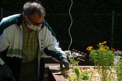 Atelier de remplissage, semis et plantations des bacs surélevés.
